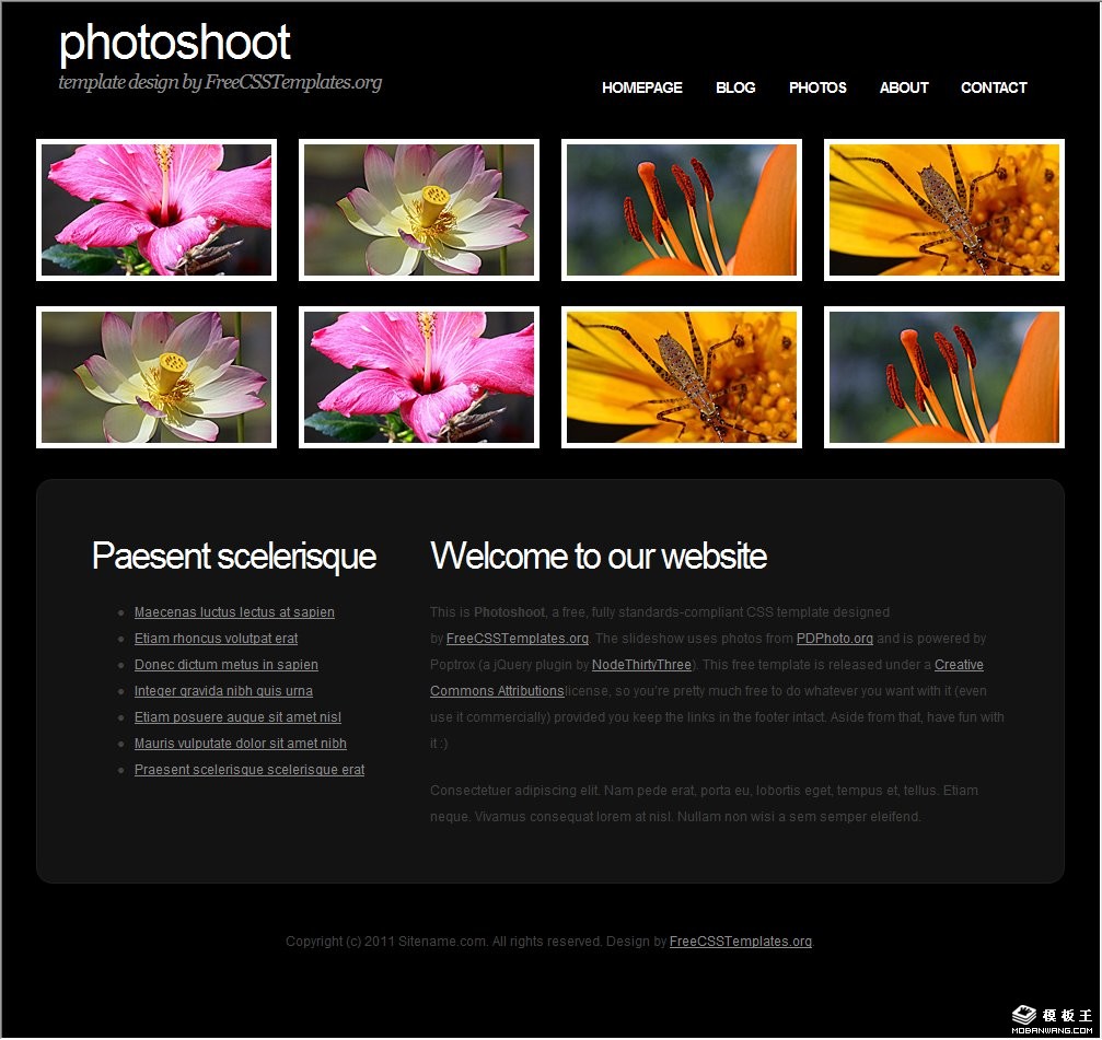 拍摄图片信息网页模板