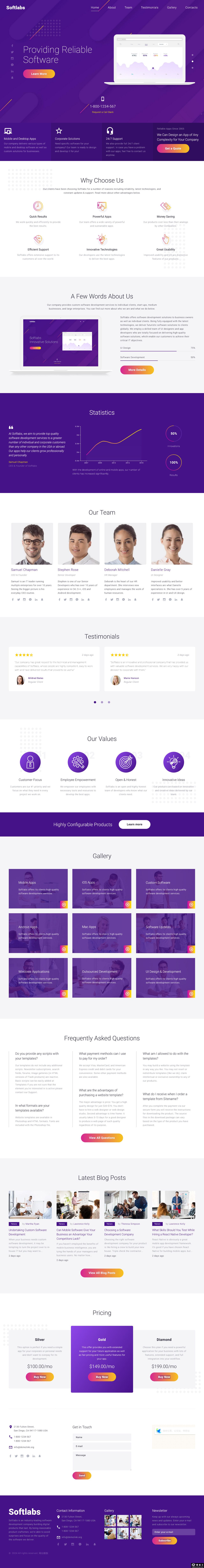 专属定制软件开发服务单页模板-PC预览