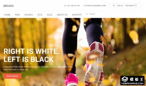 简洁个性商品网店响应式网页模板