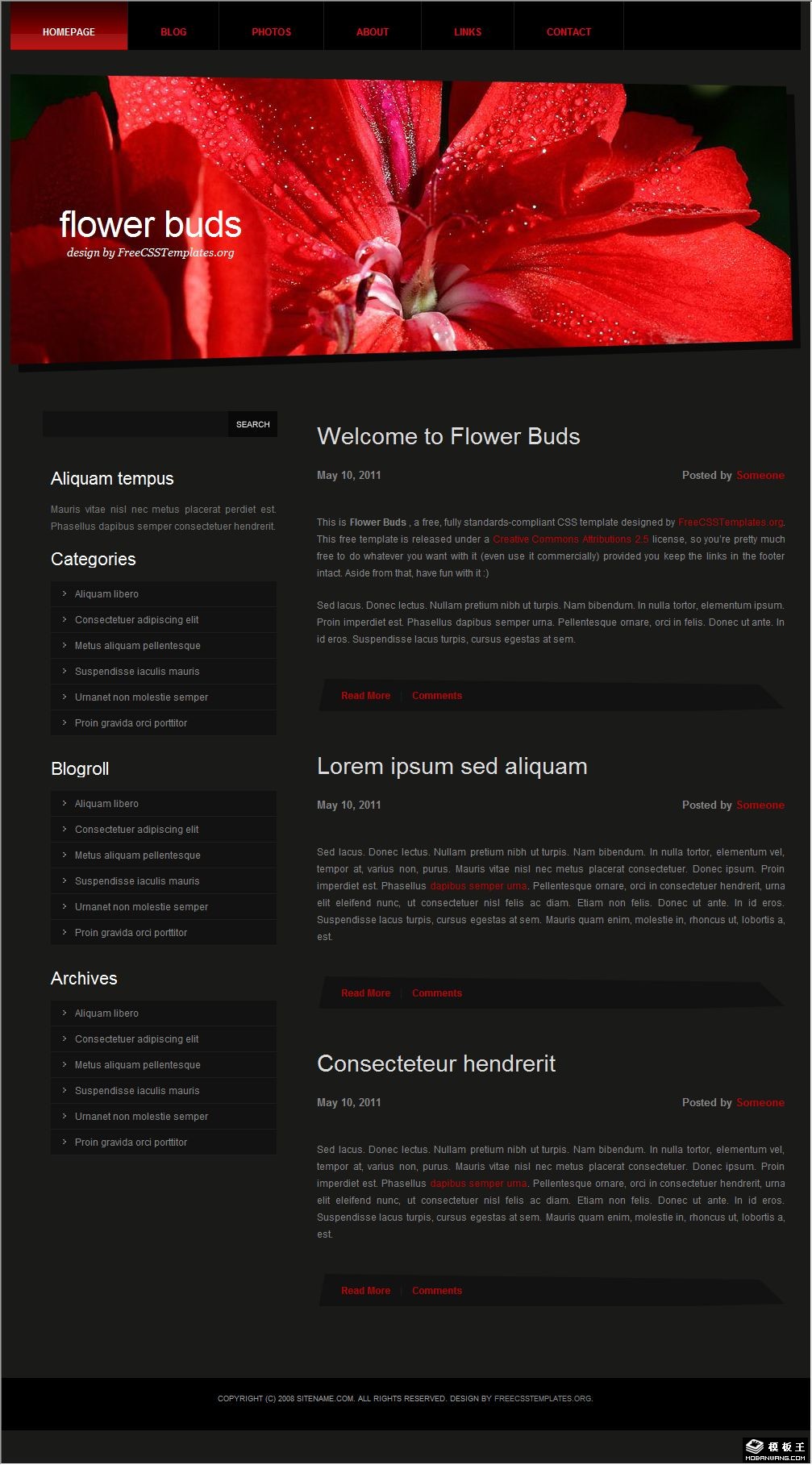 红色花蕾网页模板