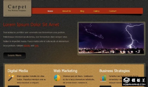 地毯背景业务介绍网页模板