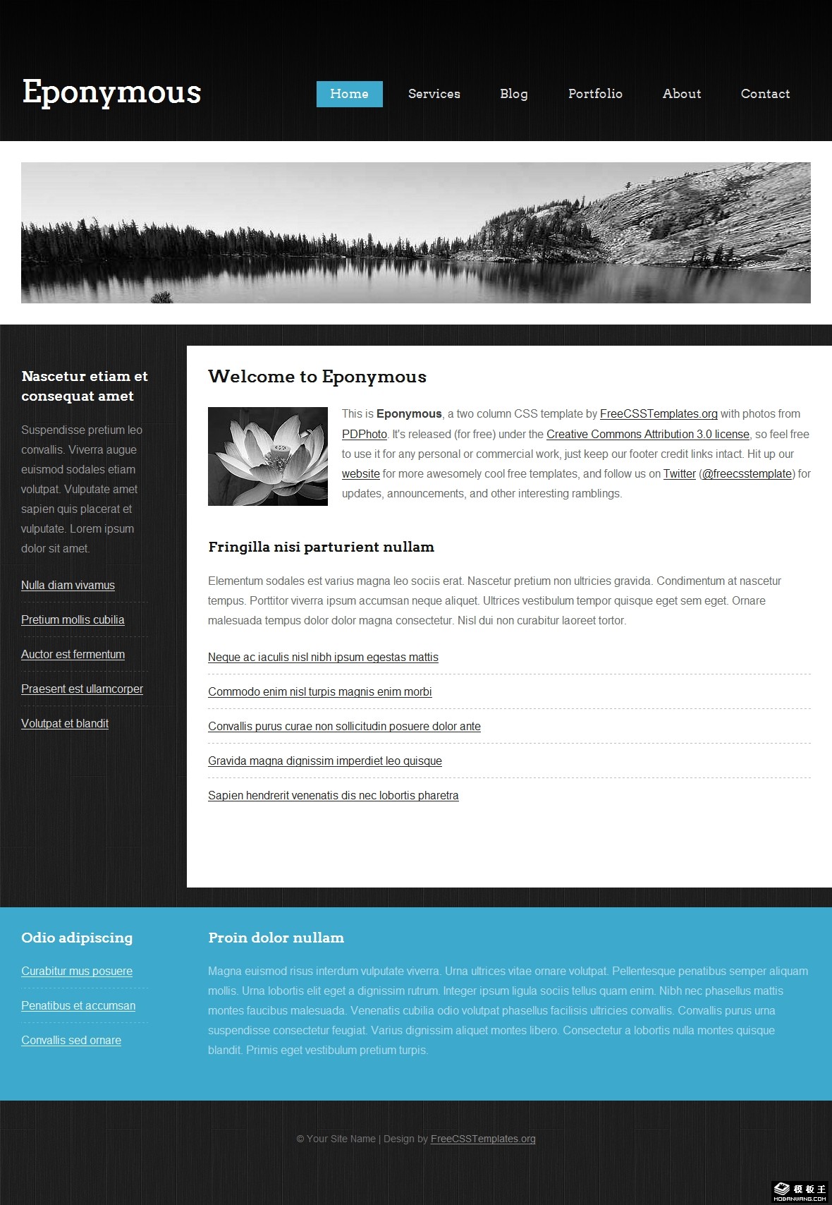 黑白语境信息网页模板