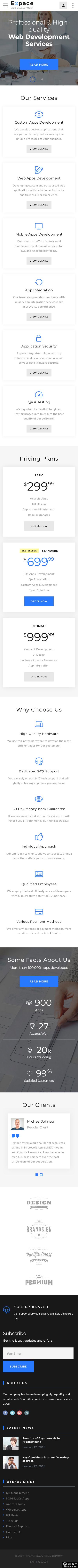 Web开发领航服务网站模板-手机预览