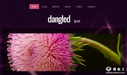 紫色星际之花网页模板