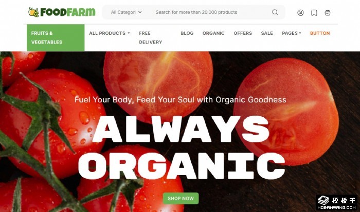 有机时蔬农产品商城模板