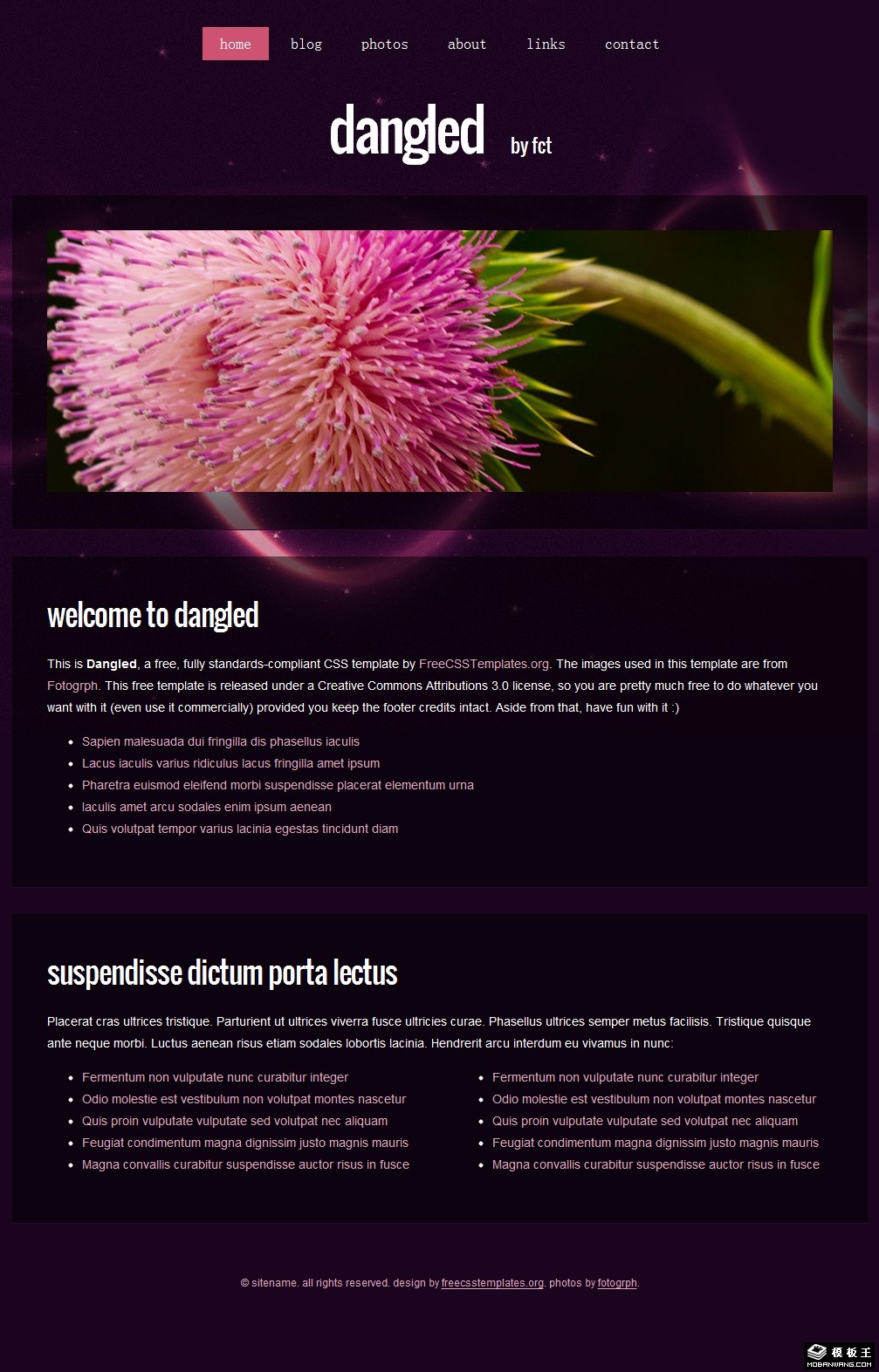 紫色星际之花网页模板