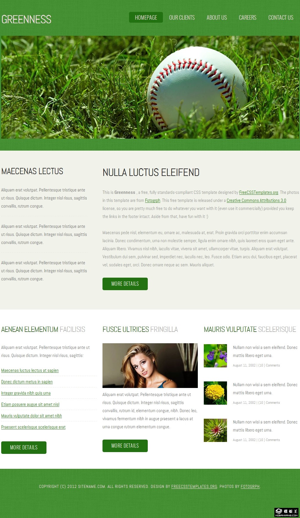 鲜绿简洁信息网页模板