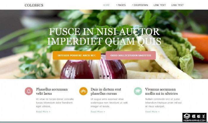 业务详情动态公司网页模板