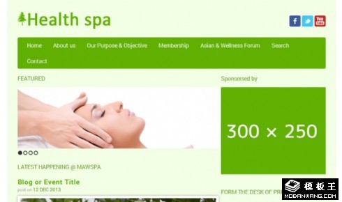绿色健康SPA日志网页模板