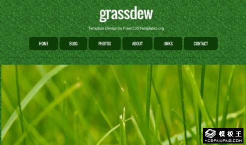 绿草晨露信息介绍网页模板