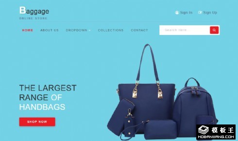 女包商城展示响应式网页模板