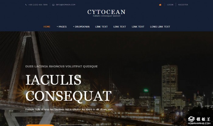 都市商业文化产业网页模板