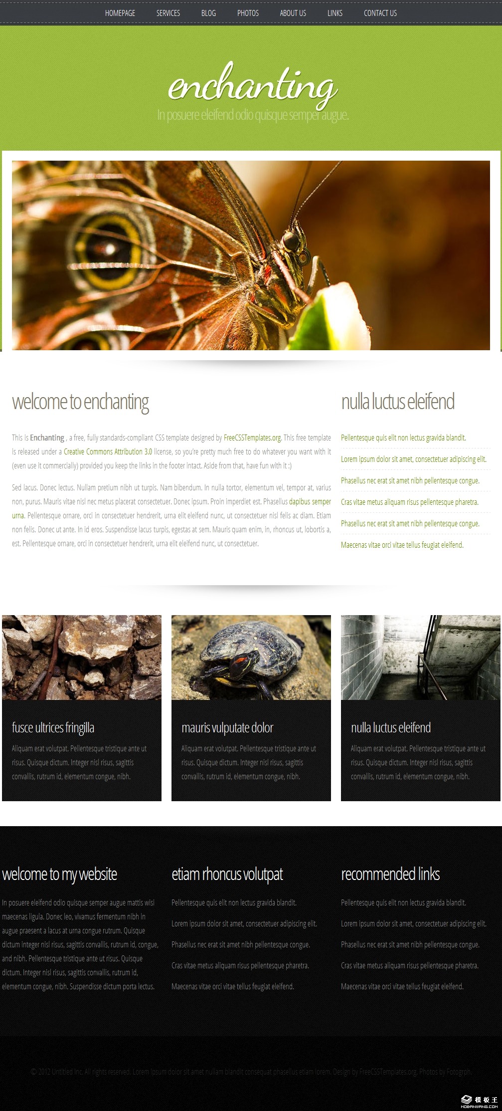 绿之妖娆生态信息网页模板