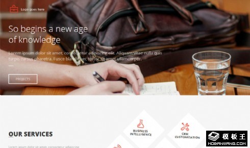 研发团队日志介绍响应式网页模板