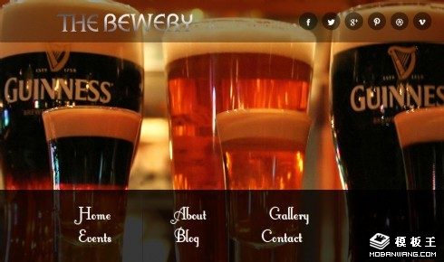 吉尼斯啤酒网页模板
