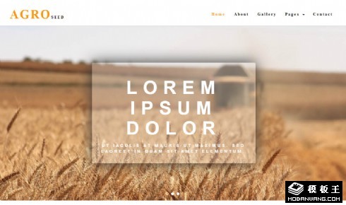 农业水稻种植响应式网站模板