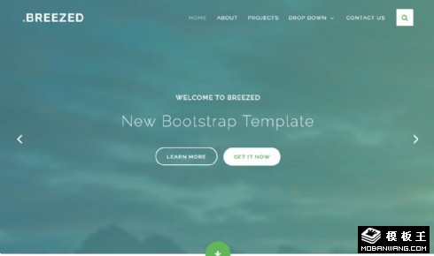 项目动态介绍展示响应式网页模板