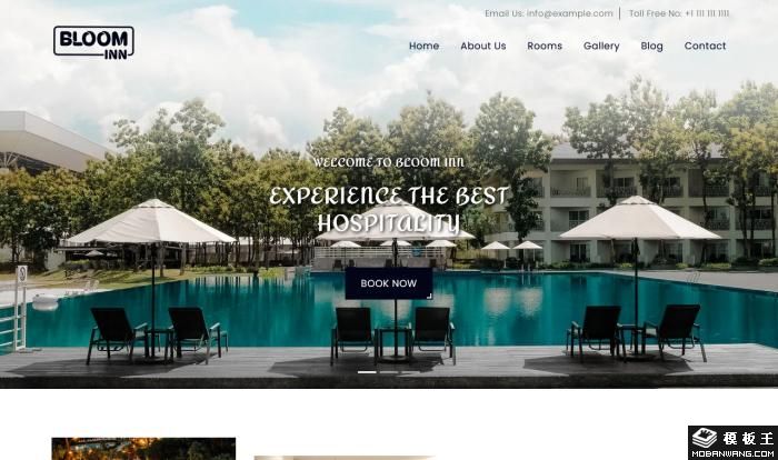 豪华酒店体验服务网站模板