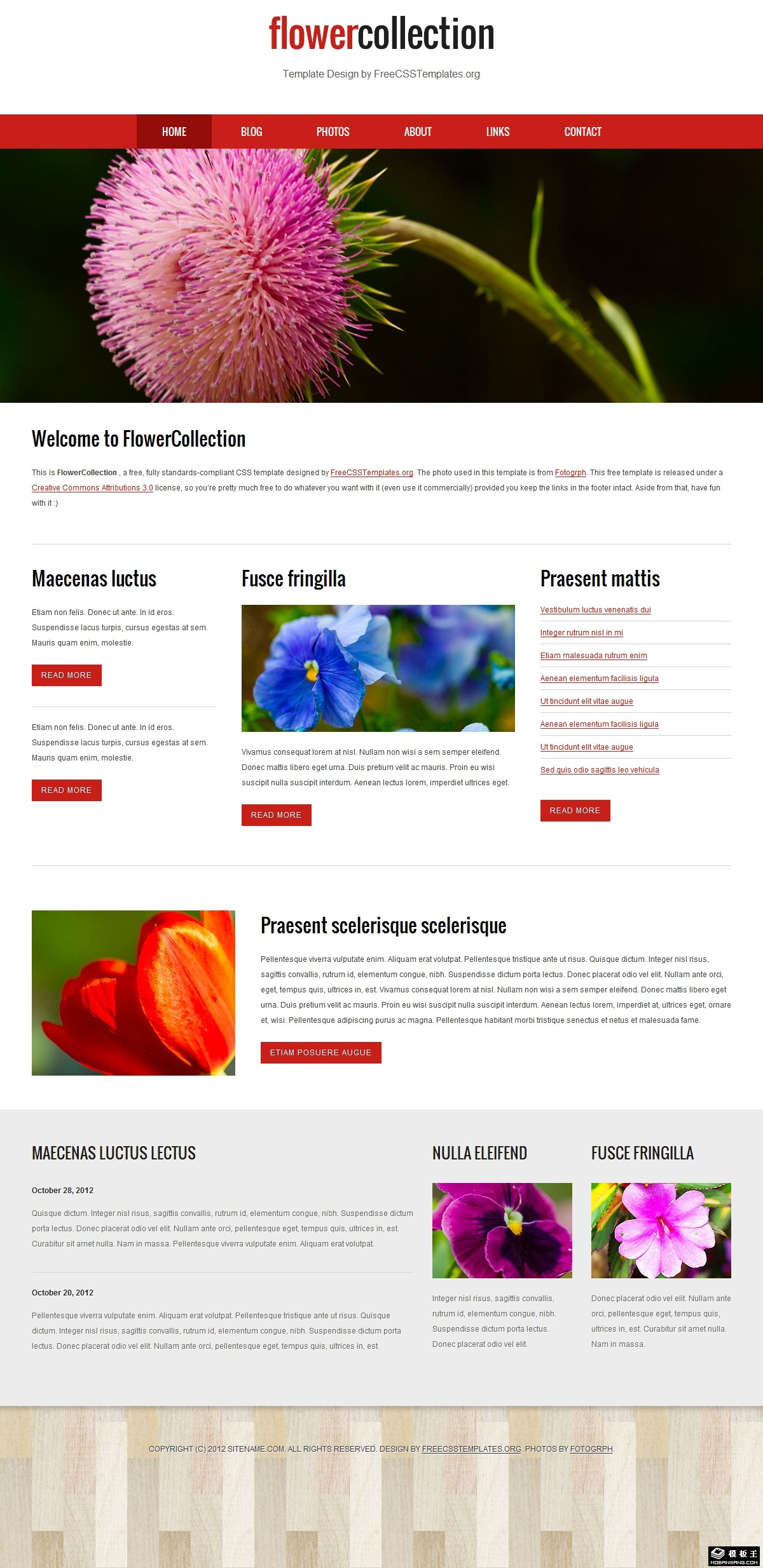 花集中心介绍网页模板