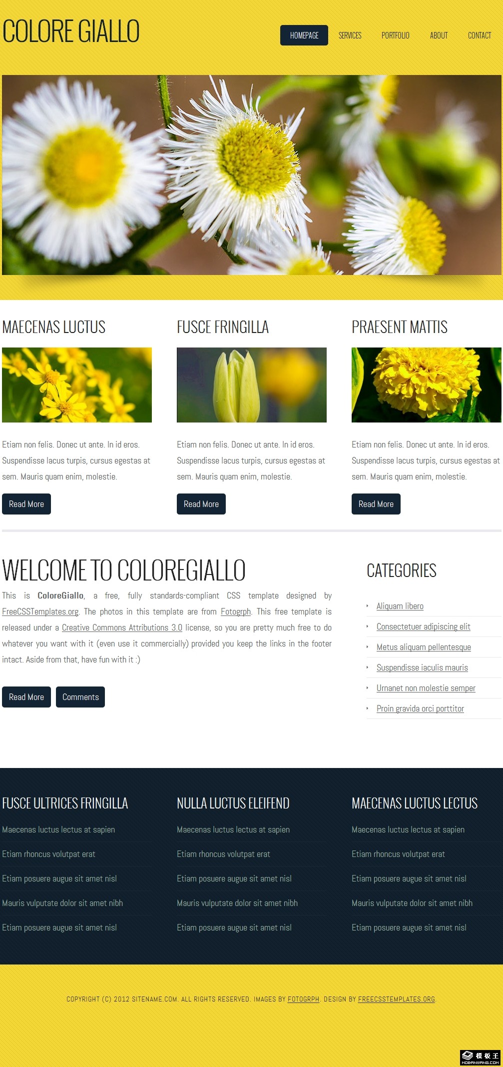 黄色鲜花介绍网页模板