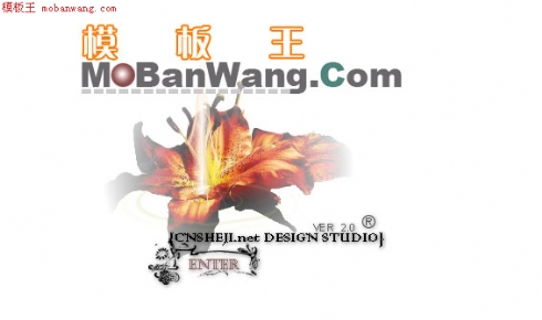靓丽的个人网站模板