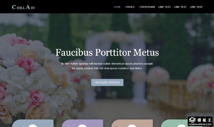 休闲摄影信息网页模板