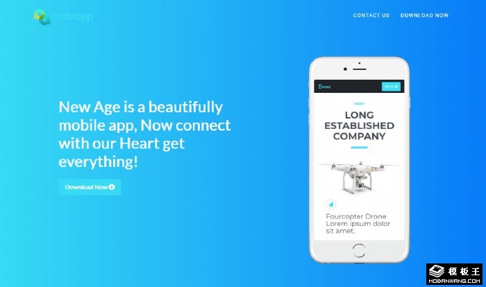 蓝色APP操作控制展示单页面模板