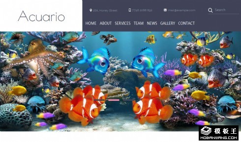 水族馆鱼类介绍响应式网页模板