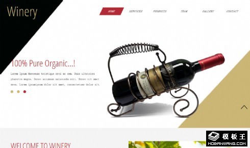 葡萄酒品牌介绍响应式网页模板