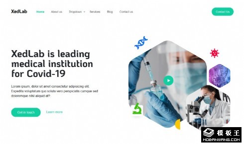 医学研发团队响应式网页模板