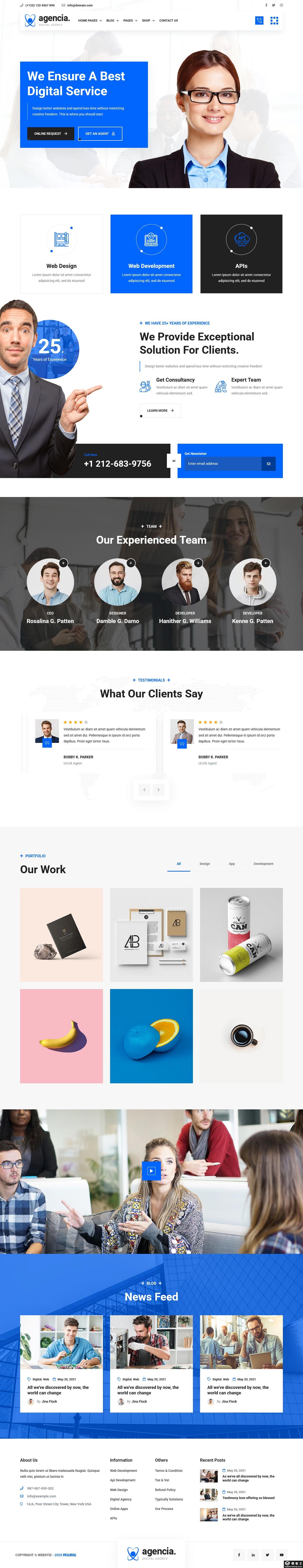 数字技术开发商务公司网站模板-PC预览