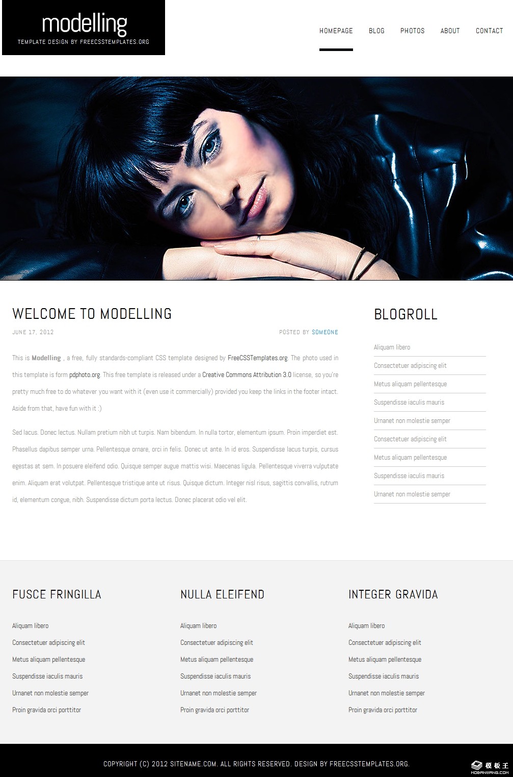 简洁大气造型设计网页模板