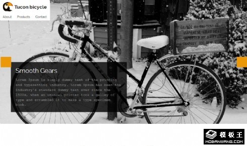 自行车展示信息响应式网页模板