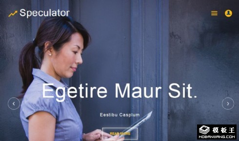 财富管理团队展示响应式网页模板