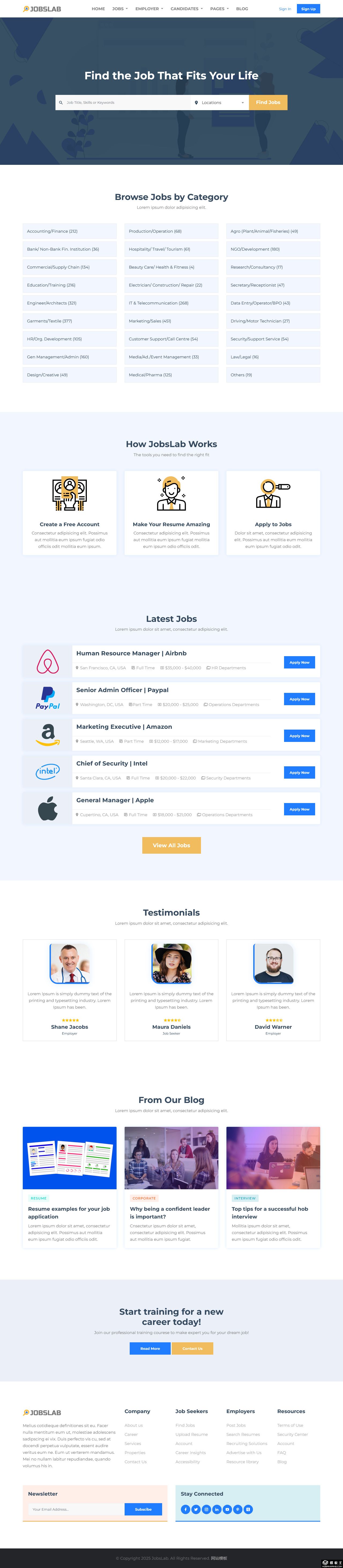 招聘分类平台网站模板-PC预览