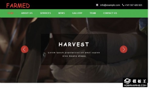 农场果蔬团队展示响应式网页模板