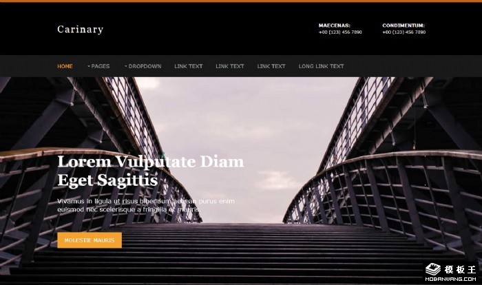 商业形象管理业务网页模板