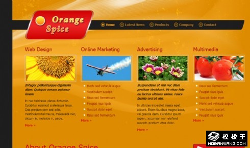 橙色动态展示介绍网页模板