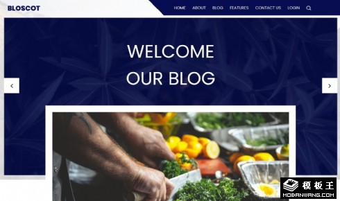 旅程记录日志响应式网页模板