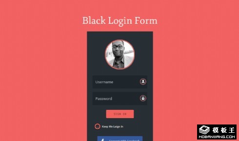 个人头像登录表单响应式网页模板
