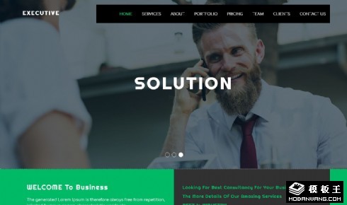 经营项目服务展示响应式网页模板