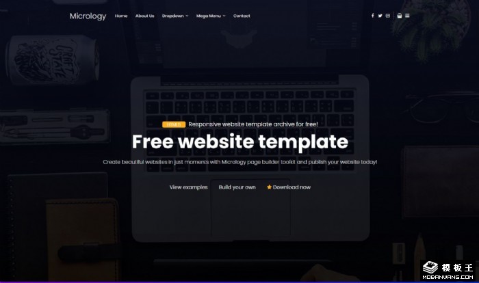 网页设计营销优化网页模板