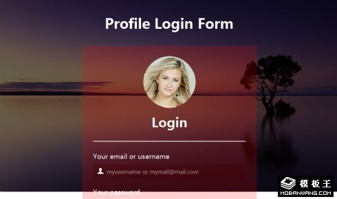 暗红透明用户信息登录框网页模板