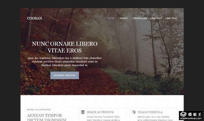 静野信息动态网页模板