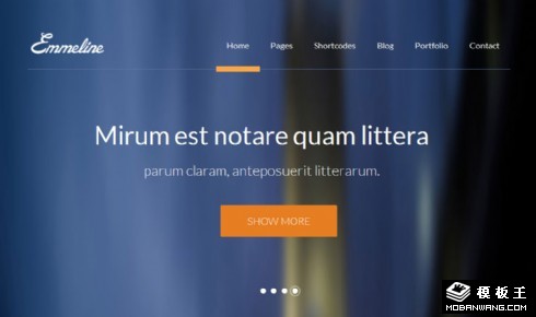 在线产品介绍分析网页模板