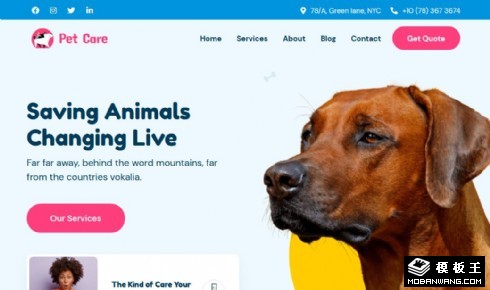 宠物寄养护理服务响应式网页模板