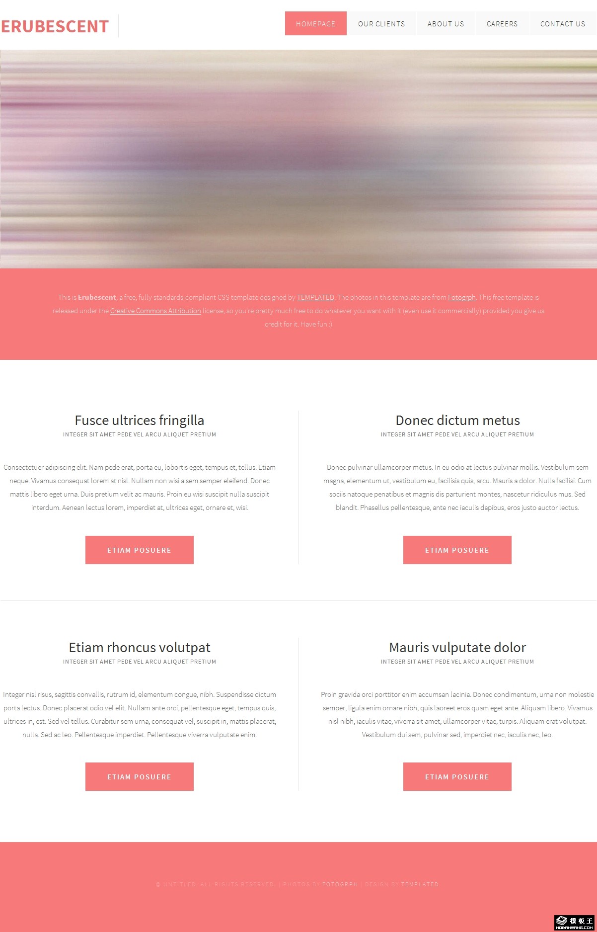 粉红描述列表网页模板