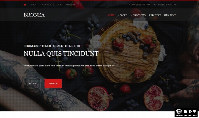 艺术博览展示网页模板