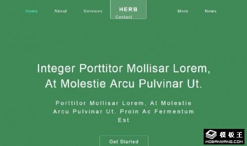 绿色草本植物花卉响应式网页模板