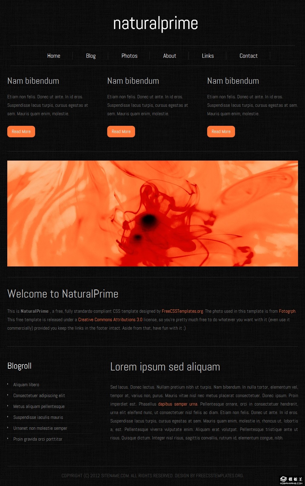 黑色天然精华网页模板